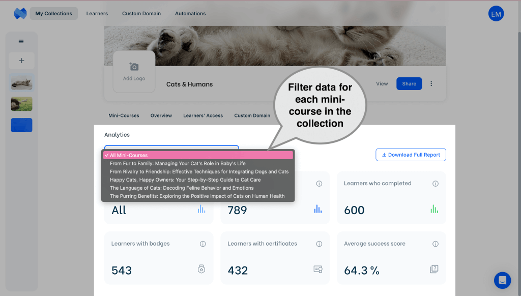 Mini course specific learner assessment analytics.